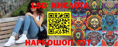 шишки Кимры