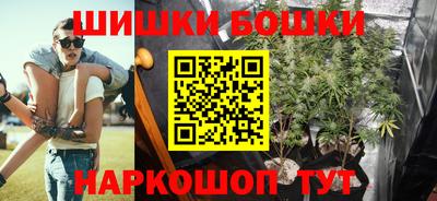 спиды Кингисепп