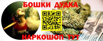 спиды Кингисепп