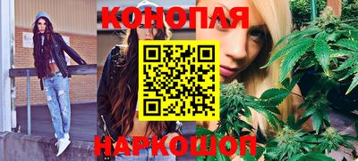 шишки Кимры