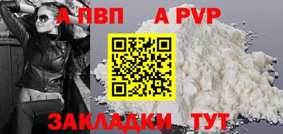 спиды Кингисепп