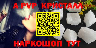 спиды Кингисепп