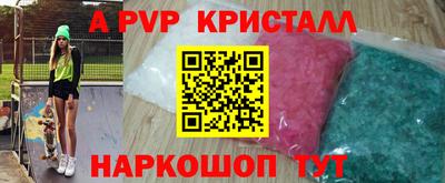 спиды Кингисепп
