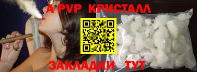 спиды Кингисепп